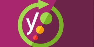 ما هي إضافة يوست سيو؟